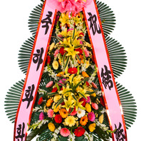 축하50xxxA