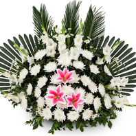상품NO